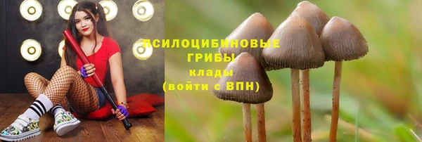 герыч Кукмор